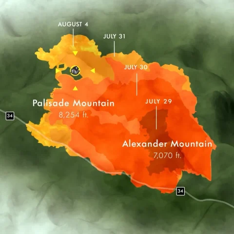 SiteThumb_FireLivesHere